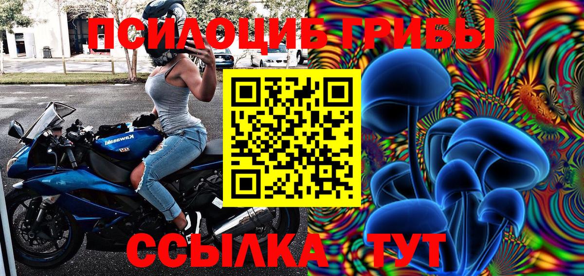 Ижевск  Псилоцибиновые грибы мухоморы  Вход с VPN 