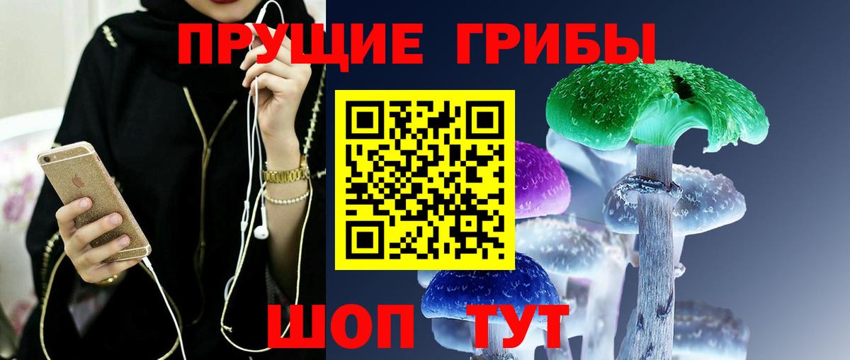 Псилоцибиновые грибы мицелий  Ижевск 