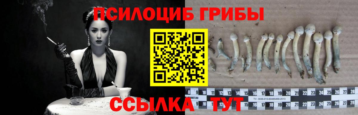 Псилоцибиновые грибы MAGIC MUSHROOMS Ижевск